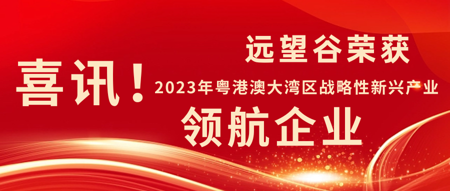 新年迎喜讯 | 云顶集团·4008荣获2023年粤港澳大湾区战略性新兴产业“领航企业”！